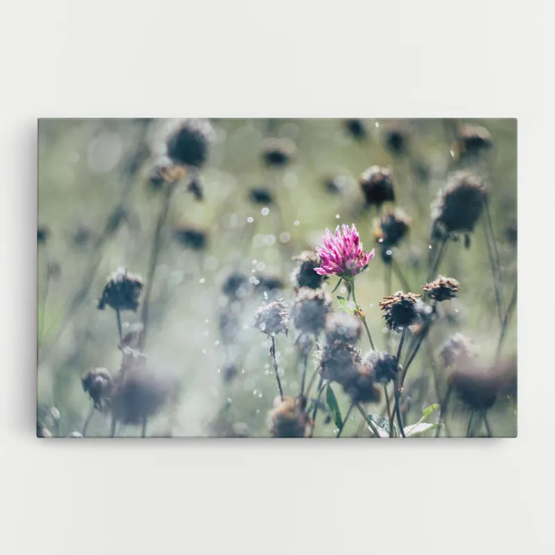 Wochenendangebot Leinwandbild Dreamy Purple Flower