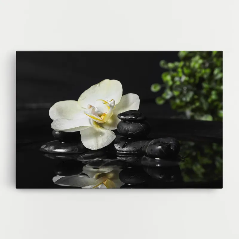 Garantierte Lieferung Leinwandbild White Spa Flower