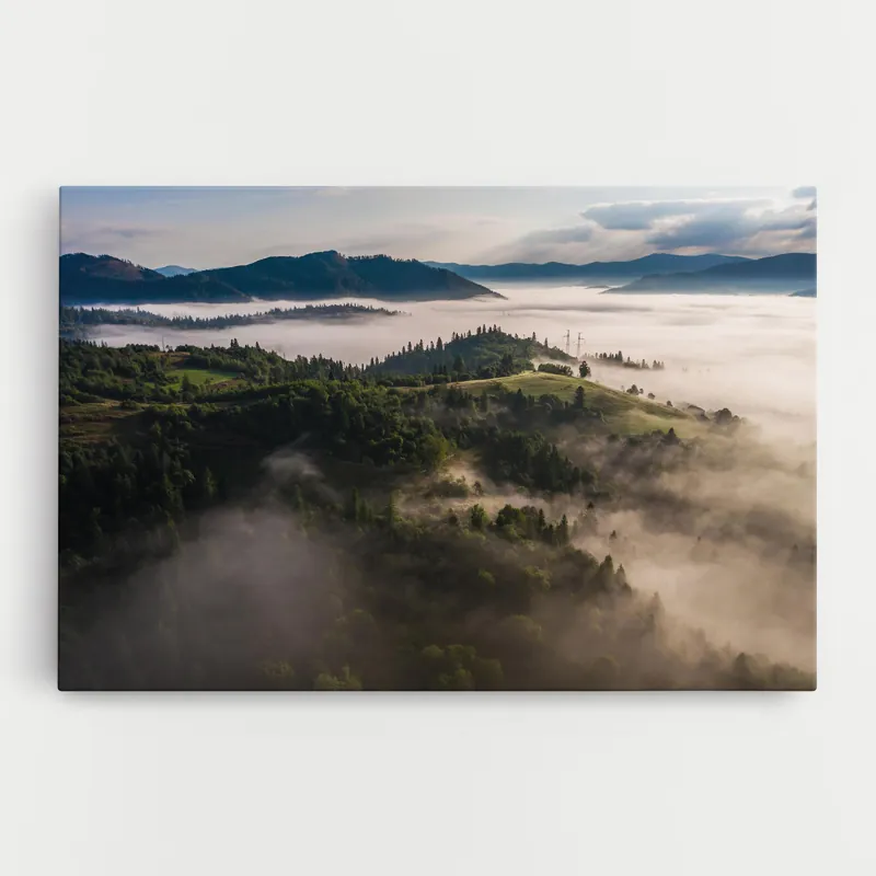 Zertifiziert Leinwandbild Foggy Forest View