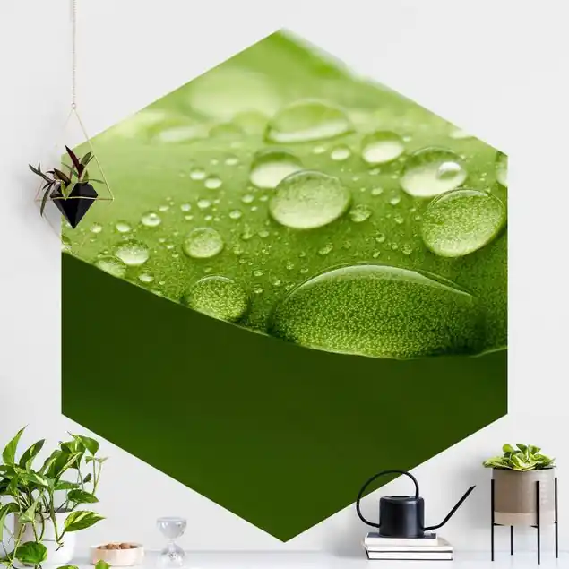 Drops of Nature                               Hexagon Fototapete Bestseller