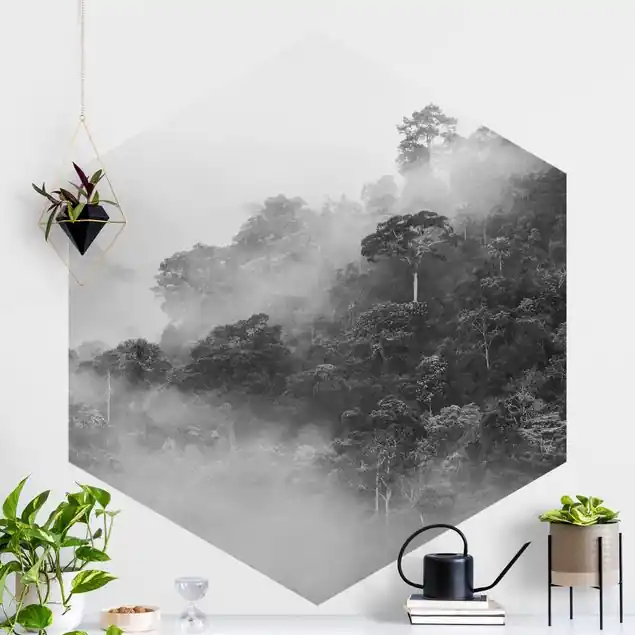 Dschungel im Nebel Schwarz Weiß                               Hexagon Fototapete Kostenloser Rückversand