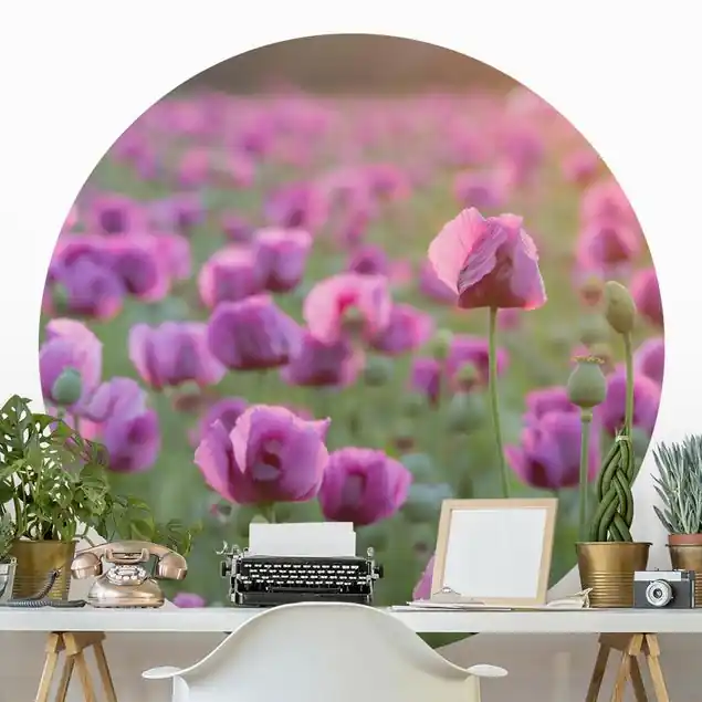 Violette Schlafmohn Blumenwiese im Frühling Runde Fototapete Saisonangebot