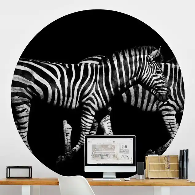 Zebra vor Schwarz Runde Fototapete Top-Preis