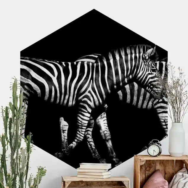 Zebra vor Schwarz Hexagon Fototapete Begrenztes Angebot