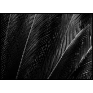 Zertifiziert Palmtree Leaf Poster