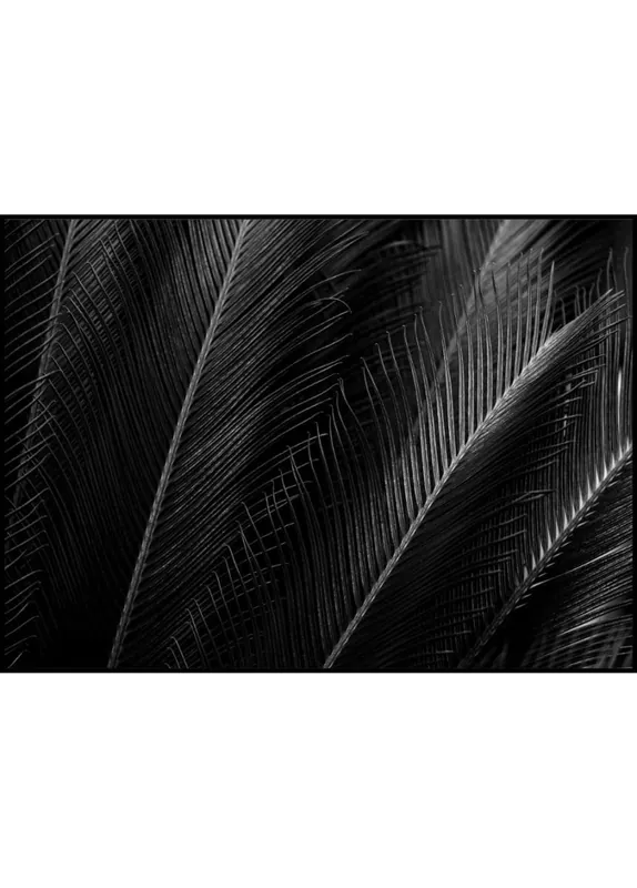 Zertifiziert Palmtree Leaf Poster