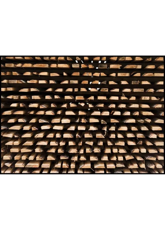 Zertifiziert Cut Wood Stacked For Lumber Poster