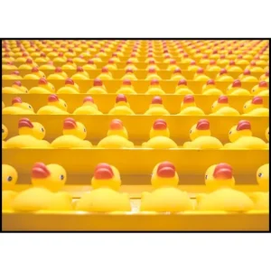 Yellow Toy Duck Poster Top-Seller
