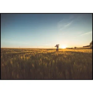 Girl Dancing In Sunset Field Poster Must-Have