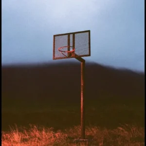 Basket In The Wild Poster Finale Aktion