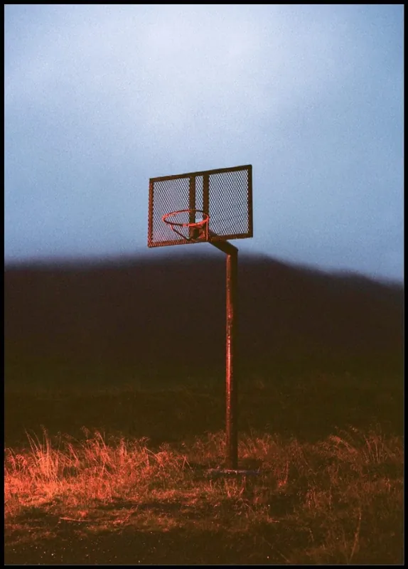 Basket In The Wild Poster Finale Aktion
