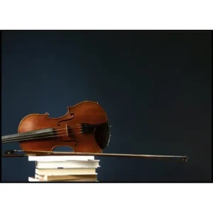 Fiddle And Bow Poster Billig