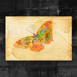 Direkt Vom Hersteller Leinwandbild Butterfly Color Tierbilder
