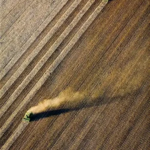 Cotton Harvesting, Buckeye, Arizona Echt