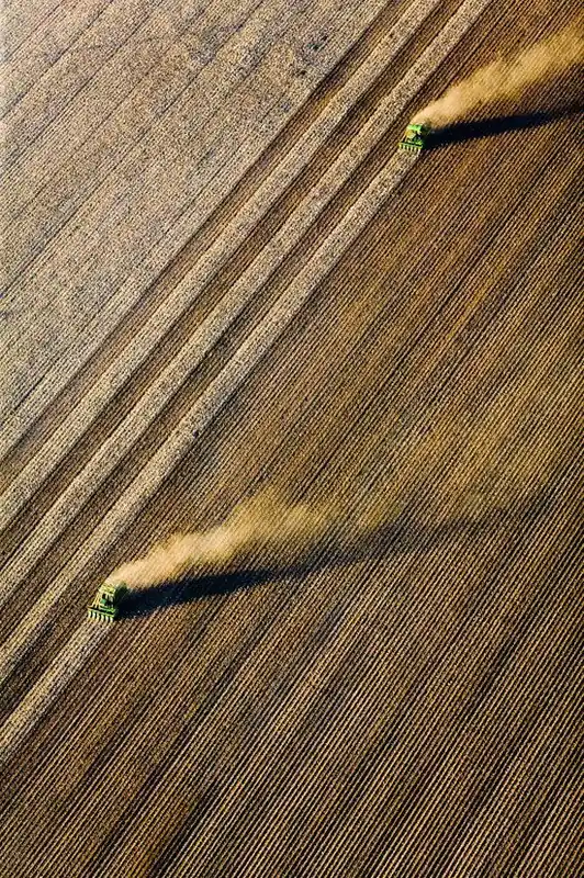 Cotton Harvesting, Buckeye, Arizona Echt