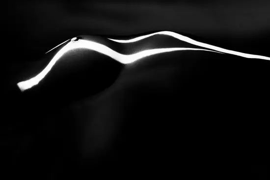Nude Beliebt
