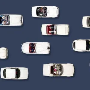 Top-Seller White Cars