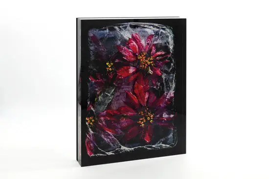 Coral Tree Must-Have