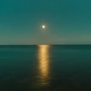 Blue Moon Sale