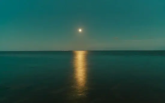 Blue Moon Sale