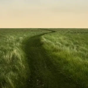 Günstig Floating World Trail