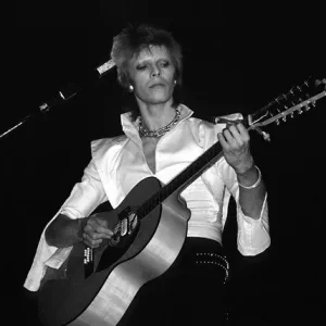 Bowie in Concert Neuheit