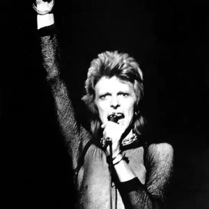 Ziggy Stardust on Stage Abverkauf