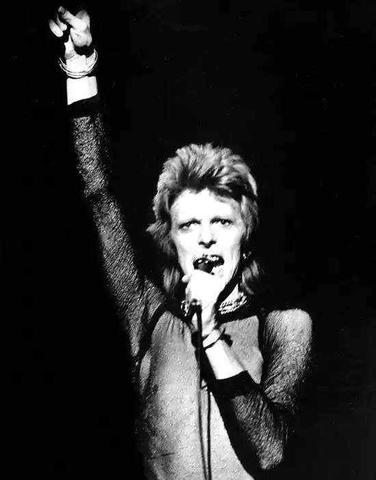 Ziggy Stardust on Stage Abverkauf