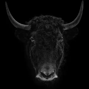 Kostenloser Versand YAK