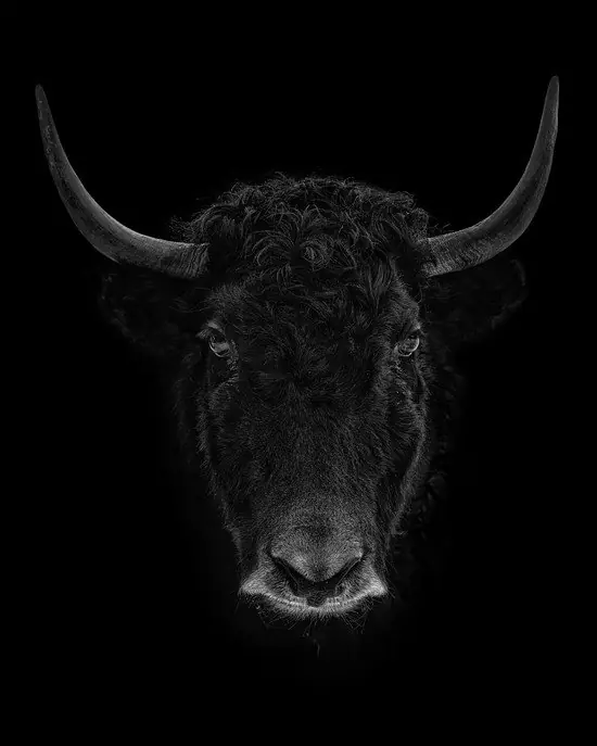 Kostenloser Versand YAK
