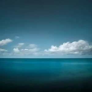 Angebot Volutus