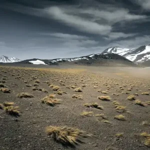 Schneller Versand Salar de Tara