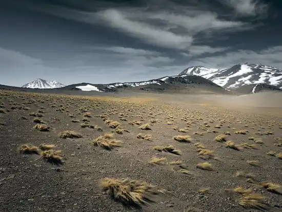 Schneller Versand Salar de Tara