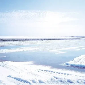 Solange Der Vorrat Reicht Saline