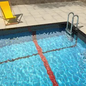Poolcaust Bestseller