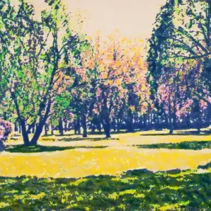 summer side park Sale