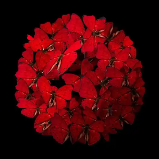 Red Rhapsody Finale Aktion