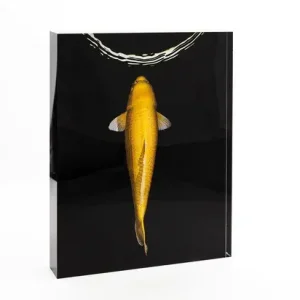 Top-Angebot Yamabuki