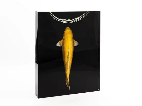 Top-Angebot Yamabuki