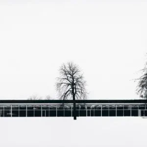 Mensa TU Braunschweig Expressversand