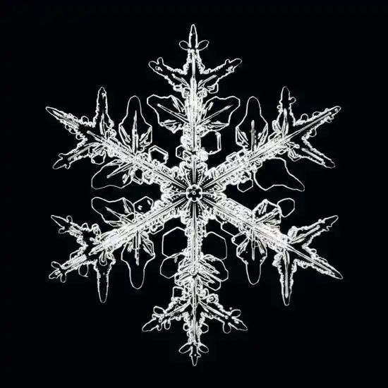 Beliebt "Schneesternchen #19"