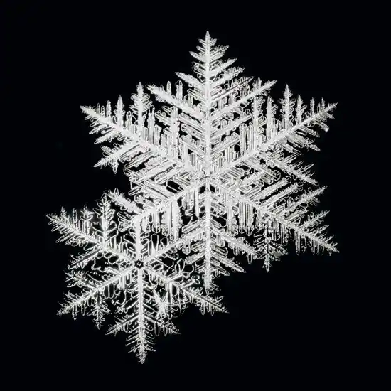 "Schneesternchen #4" Neue Kollektion