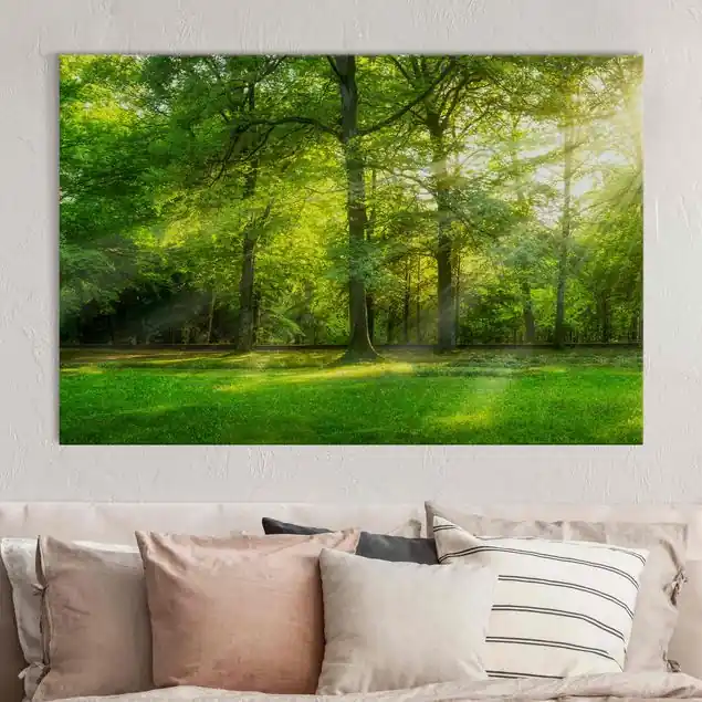 Online Kaufen Spaziergang im Wald Akustikbild