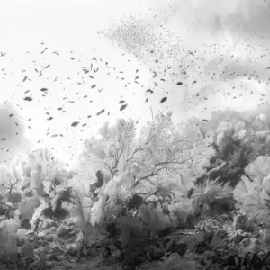 Solange Der Vorrat Reicht Liquid Garden