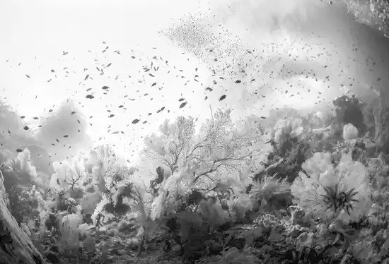 Solange Der Vorrat Reicht Liquid Garden