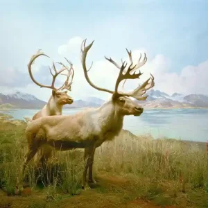 Diorama #10 Preisreduziert