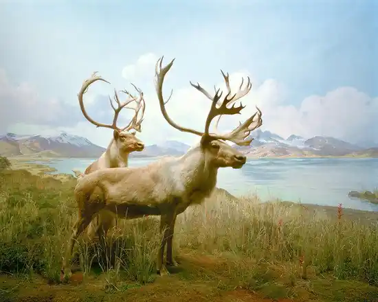 Diorama #10 Preisreduziert