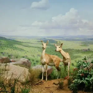 Diorama #11 Kostenfreie Lieferung
