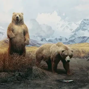 Diorama #3 Markenware