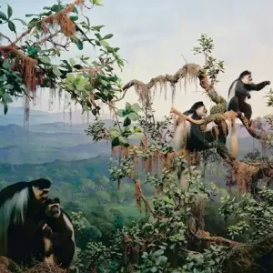 Diorama #5 Meistverkauft